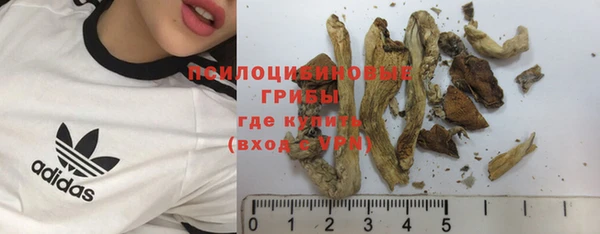 каннабис Анжеро-Судженск