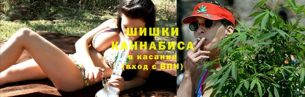 гидра Анива