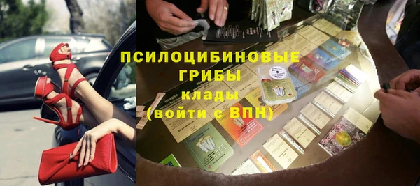крисы Ахтубинск