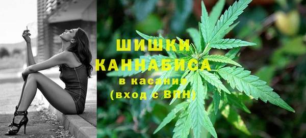 крисы Ахтубинск