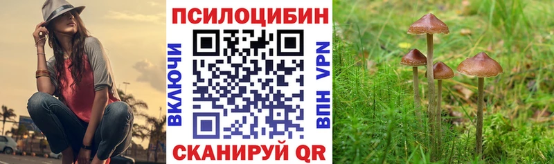 Псилоцибиновые грибы ЛСД  Зима 