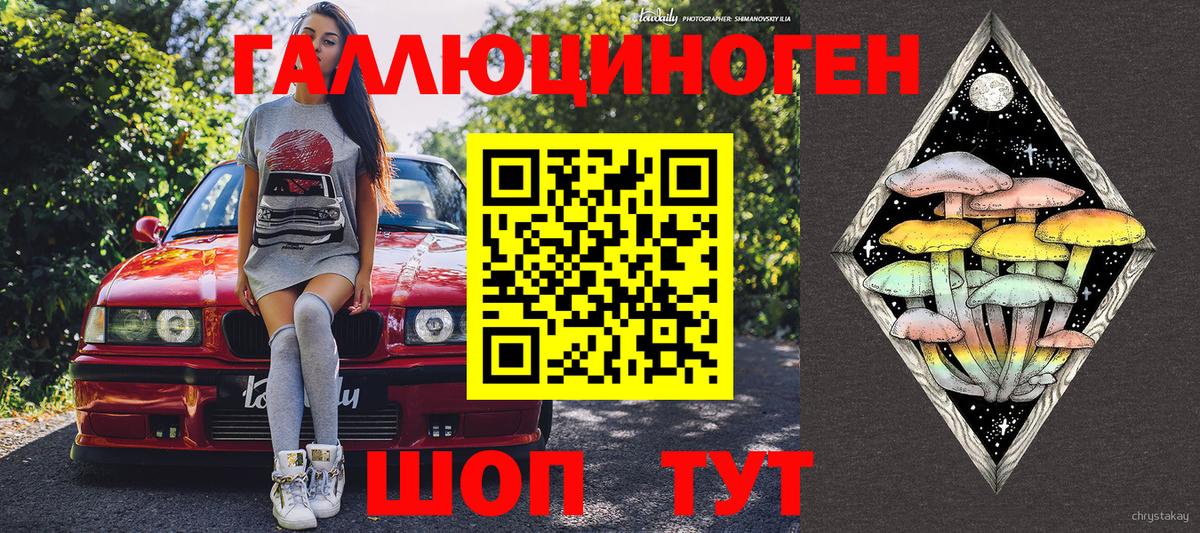 Псилоцибиновые грибы мицелий Зима